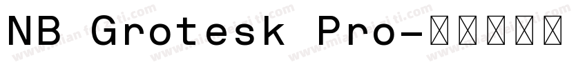 NB Grotesk Pro字体转换
